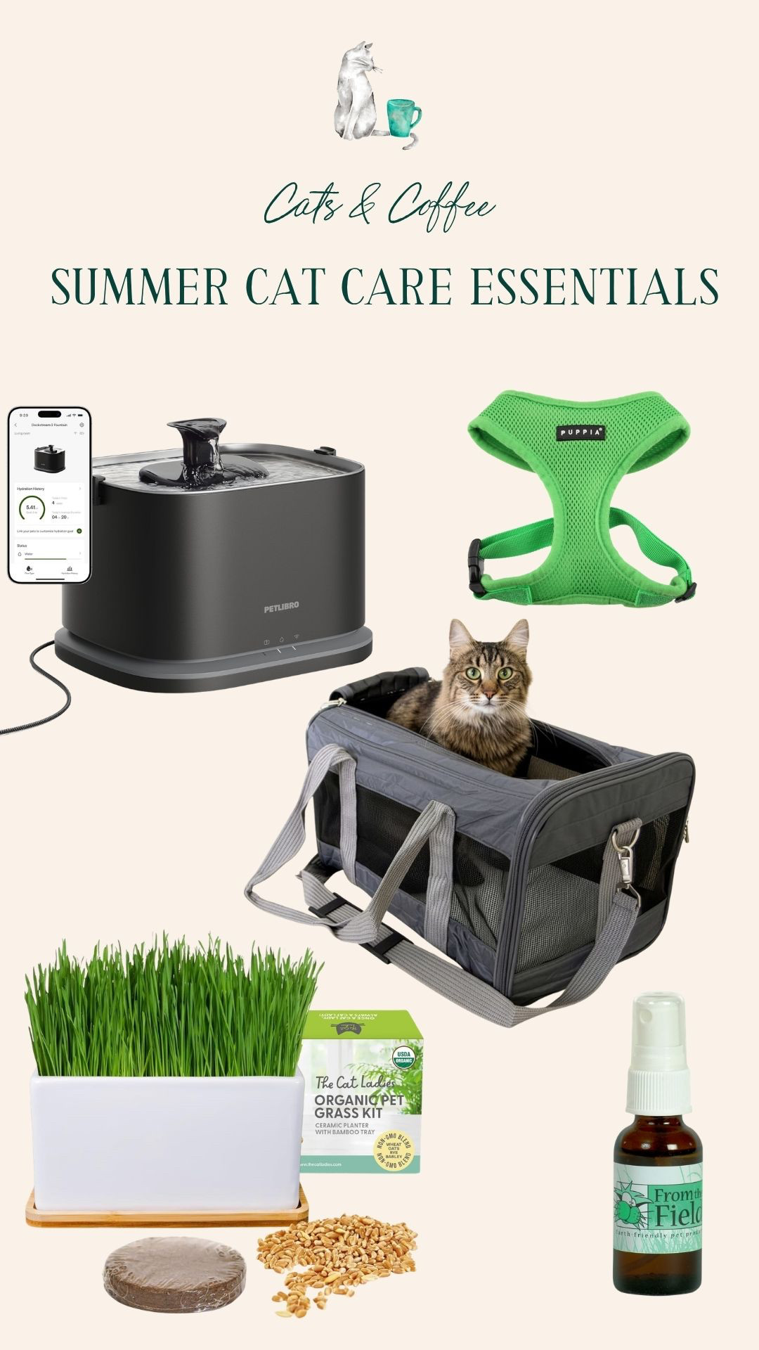 Summer Cat Care Essentials 😻☀️Summer cat care essentials for indoor cats — keeping them hydrated, entertained, and safe in the heat. From the water fountain that's been a game changer to a carrier and harness for safe outdoor time, these are the warm-weather staples in our house. 

 #LTKdayinmylife #LTKSeasonal #LTKTravel