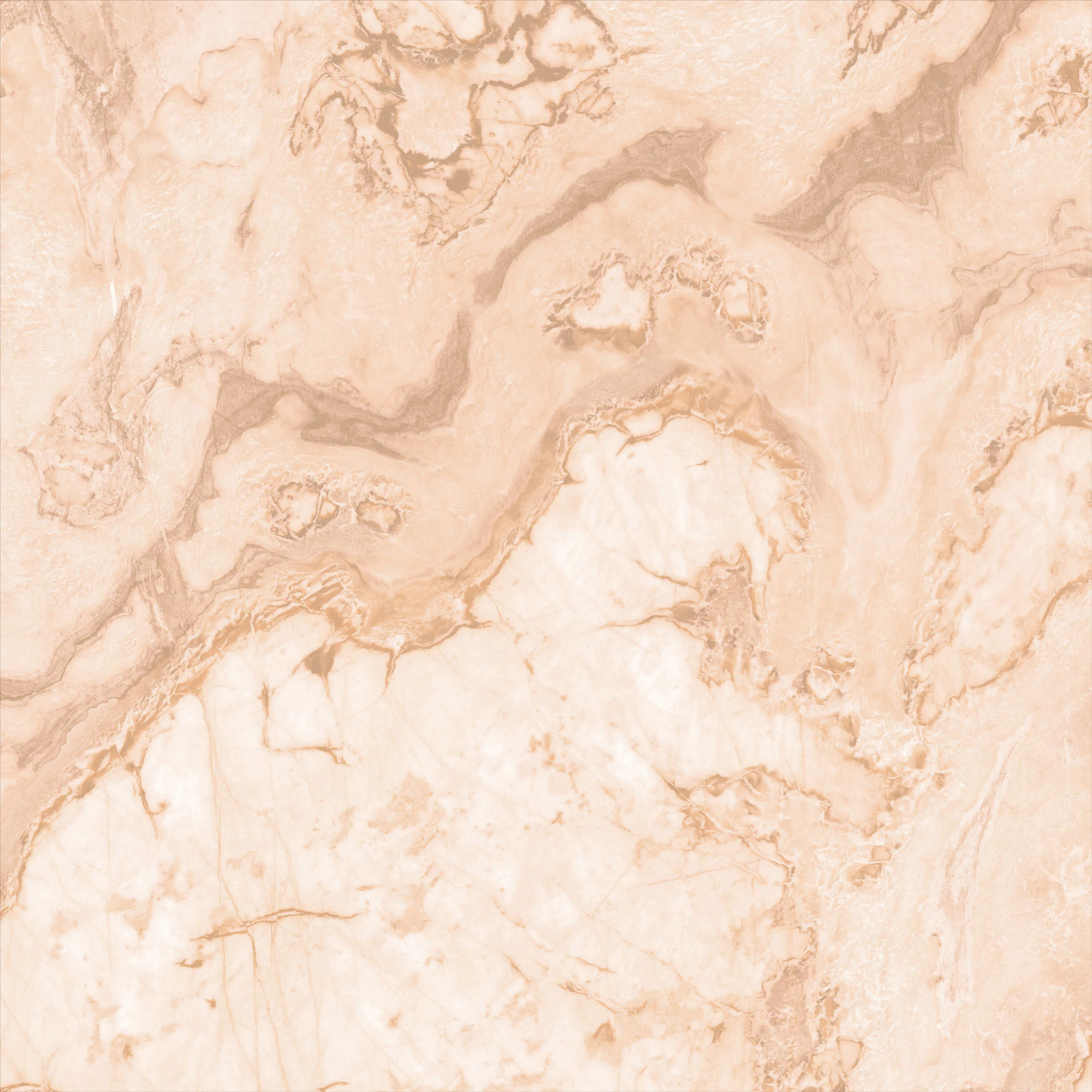 Tequila | Dizzy With Excitement | DW/E | Dizzy With Excitement