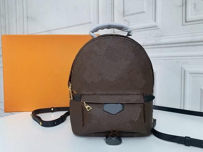 PALM SPRINGS Nicolas Ghesquière Leather Backpack For Women Classic Luxurys Designers Brown Old F... | DHGate