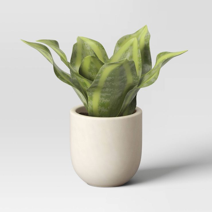 5" Snake Plant in Ceramic Pot Green - Threshold™ | Target