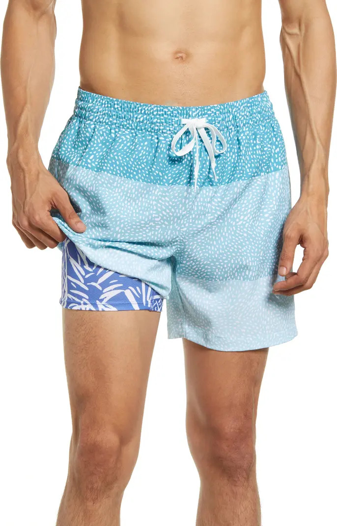 5.5-Inch Swim Trunks | Nordstrom