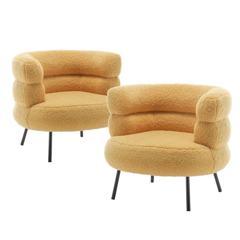 Felycia Modern Accent Chair Armchair (Set of 2) | Wayfair North America