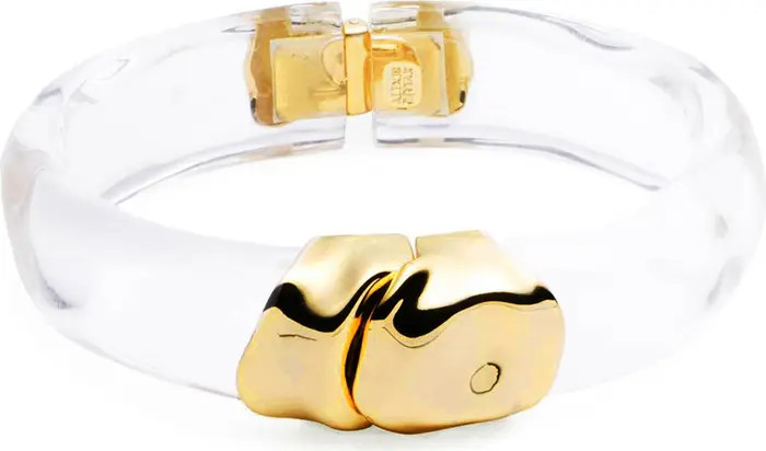Molten Lucite® Hinge Bangle | Nordstrom