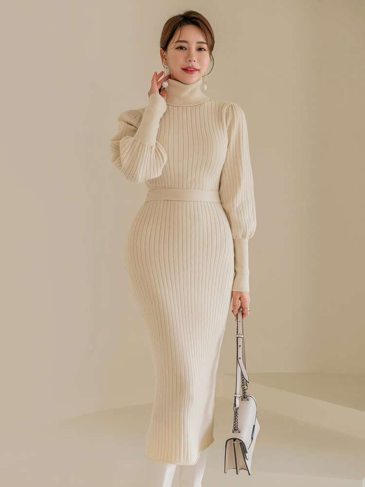 SHEIN Modely Turtle Neck Gigot Sleeve Belted Sweater Dress | SHEIN