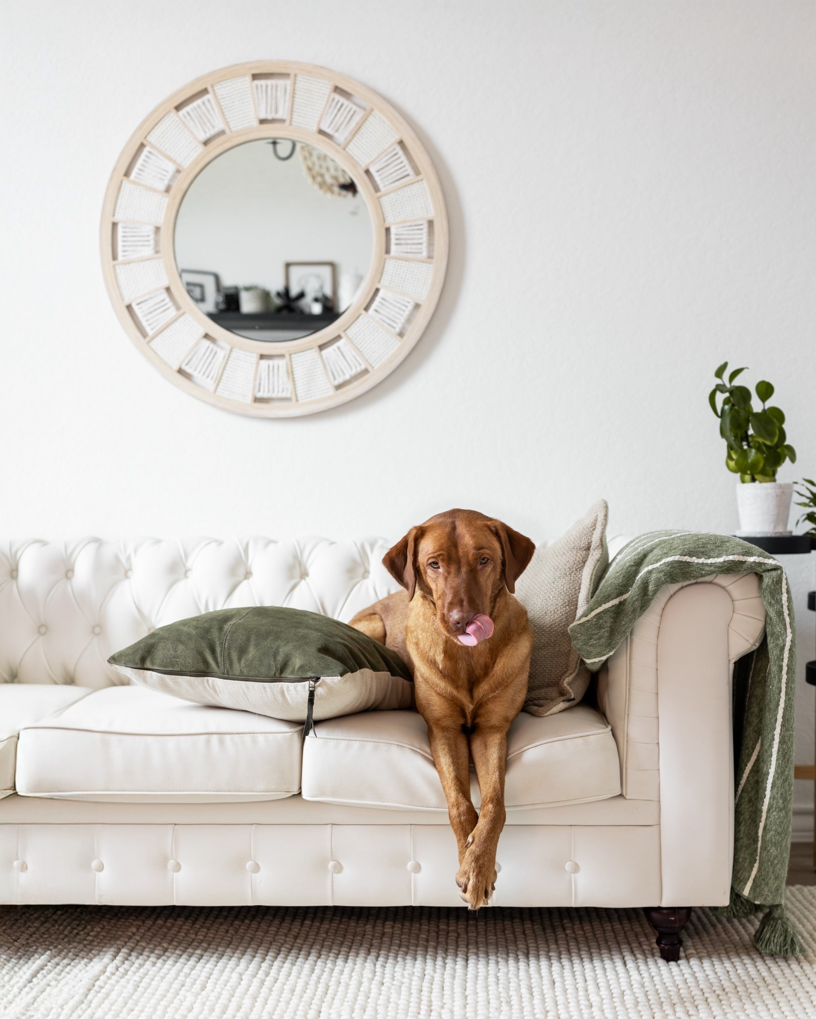 I get a lot of compliments on this sofa in my office, which is always surprising because it was a free hand-me-down piece I added to the room to help fill the space.

I’m sharing this because I’m craving to give my office a bit of a refresh. I work in here daily, so if it helps me stay productive and motivated, I know it will be worth it!

The only catch… it would mean saying goodbye to this couch that the dogs LOVE. It has served us well over the years. Now I’m on the hunt for the most comfortable dog bed for the pups to use in this space.

#LTKPets #LTKHome