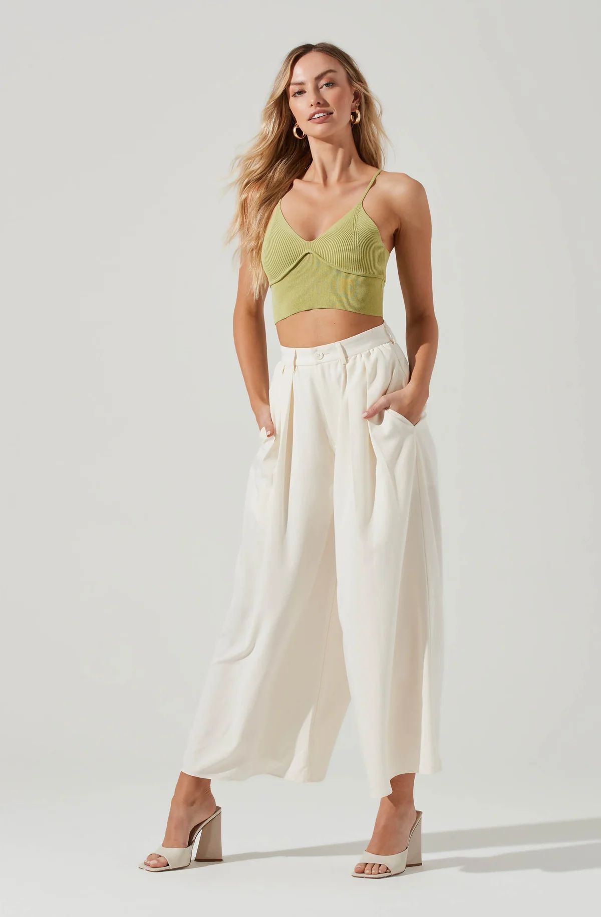 Pleated Front Wide Leg Trouser | ASTR The Label (US)