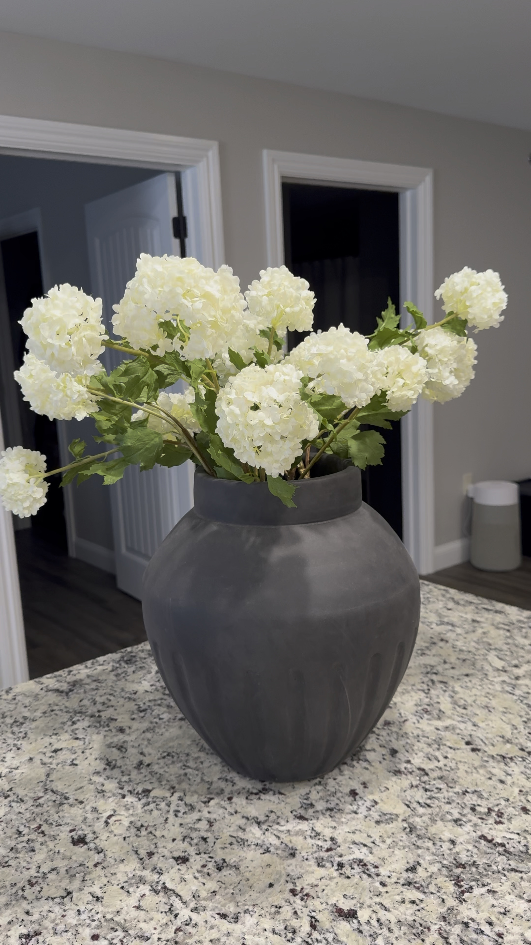 Afloral, faux stems, faux flowers, faux snowball stems, faux snowball flowers, vase styling, spring styling

#LTKstyletip #LTKMostLoved #LTKSeasonal