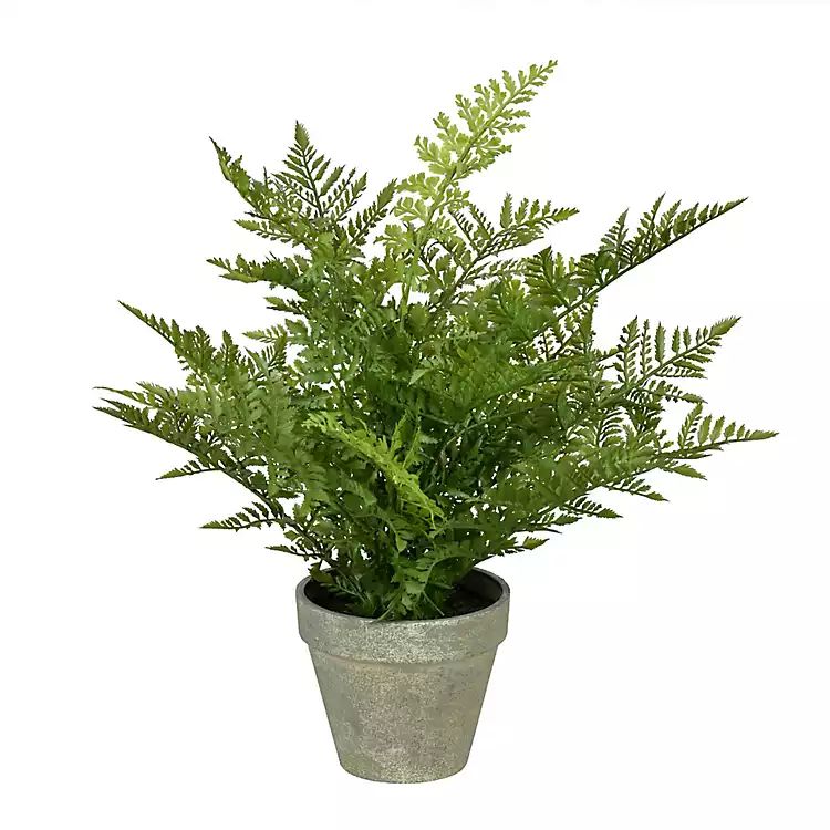 Green Fern Arrangement in Paper Pot | Kirkland's Home