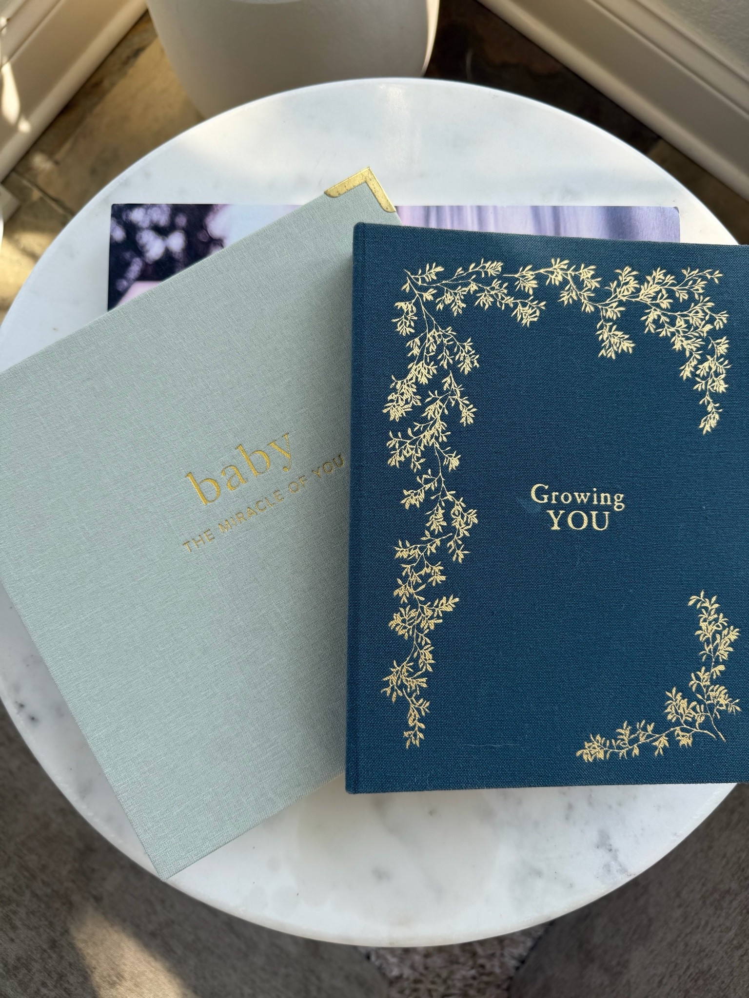 Loved writing in this pregnancy journal with my first pregnancy. And then transitioned to the baby book to write down more memories. 🤍

#LTKKids #LTKmomlife #LTKstorytime