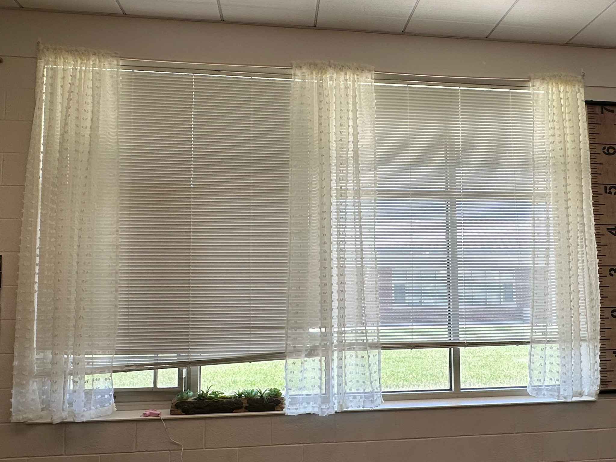 Curtains! Come in a pack of 2 panels. Dowels from Lowe’s - 6 feet long each. 
Used 3 packages of curtains (6 panels total) and 4 wooden dowels.