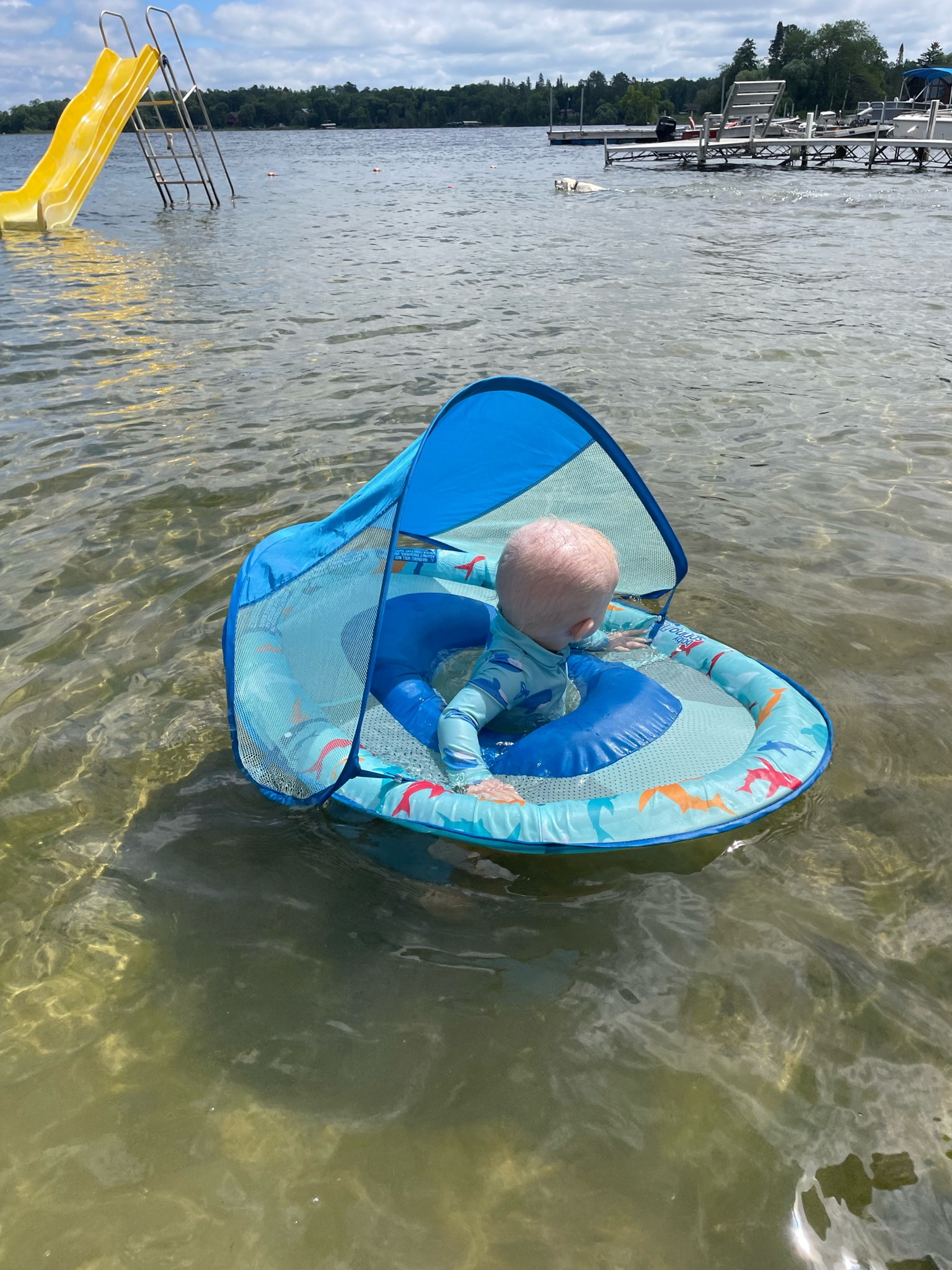 Travel baby floatie, baby item, Amazon baby, beach baby, beach must have 

#LTKBaby #LTKSeasonal #LTKSaleAlert