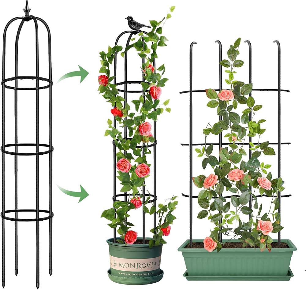 Tower Obelisk Garden Trellis for Climbing Plant，59inch Rustproof Metal Potted Plant Climbing Su... | Amazon (US)