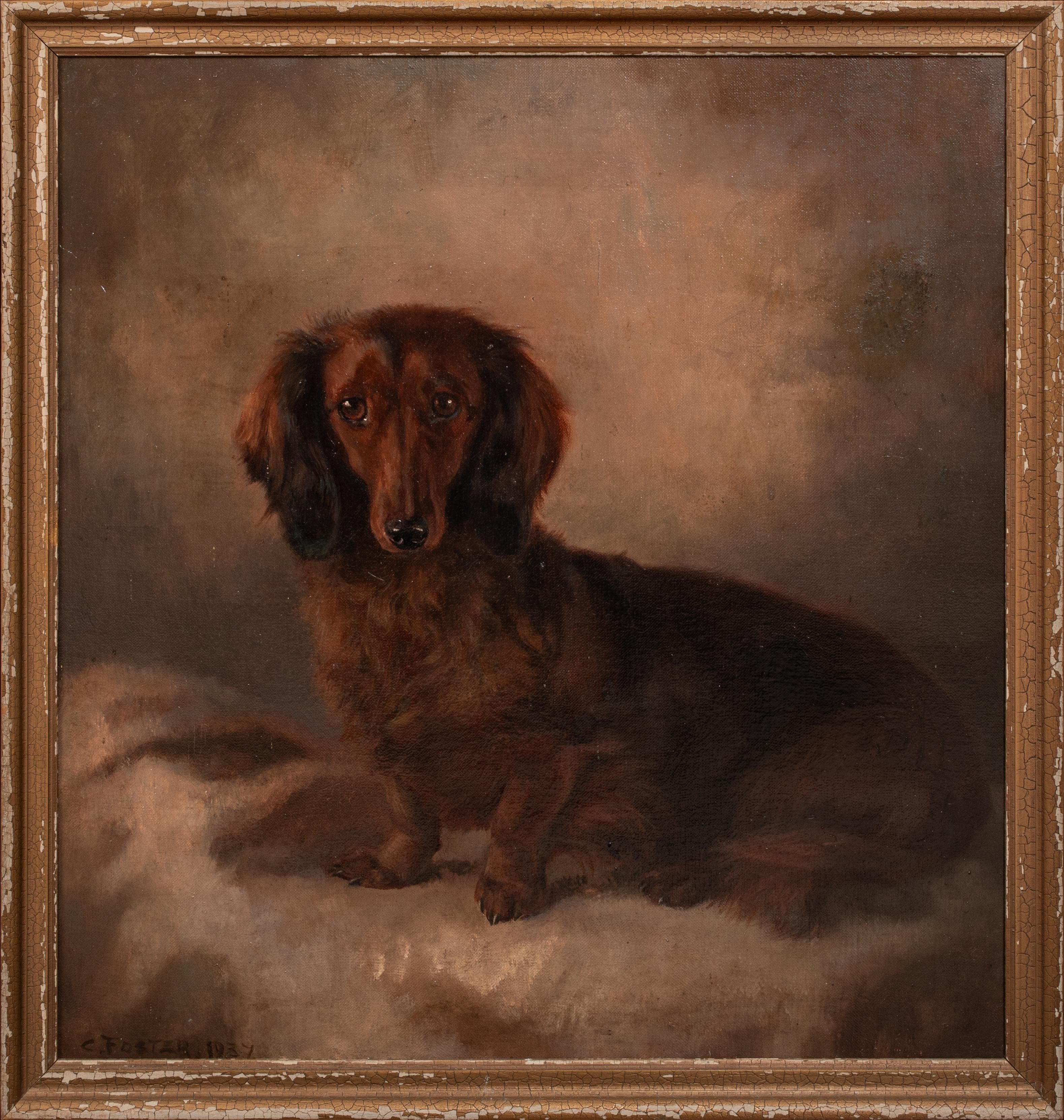 Portrait Of A Long Haired Dachshund, early 20th Century   by John Ernest Foster | 1stDibs