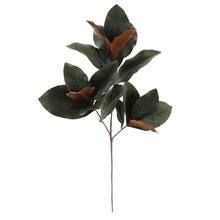 Dark Green Magnolia Leaves Stem by Ashland® | Michaels Stores