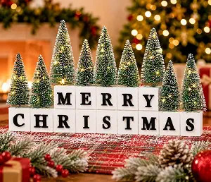 Merry Christmas Table Decor with Warm Lighted Mini Trees and 3D Letters | Amazon (US)