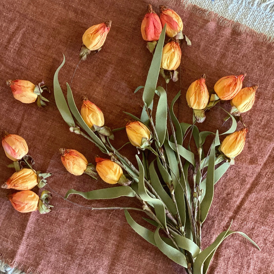 Lantern Buds | Sunset | 23" | Interior Delights