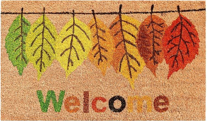 Calloway Mills 104801729 Fall Colors Doormat | Amazon (US)