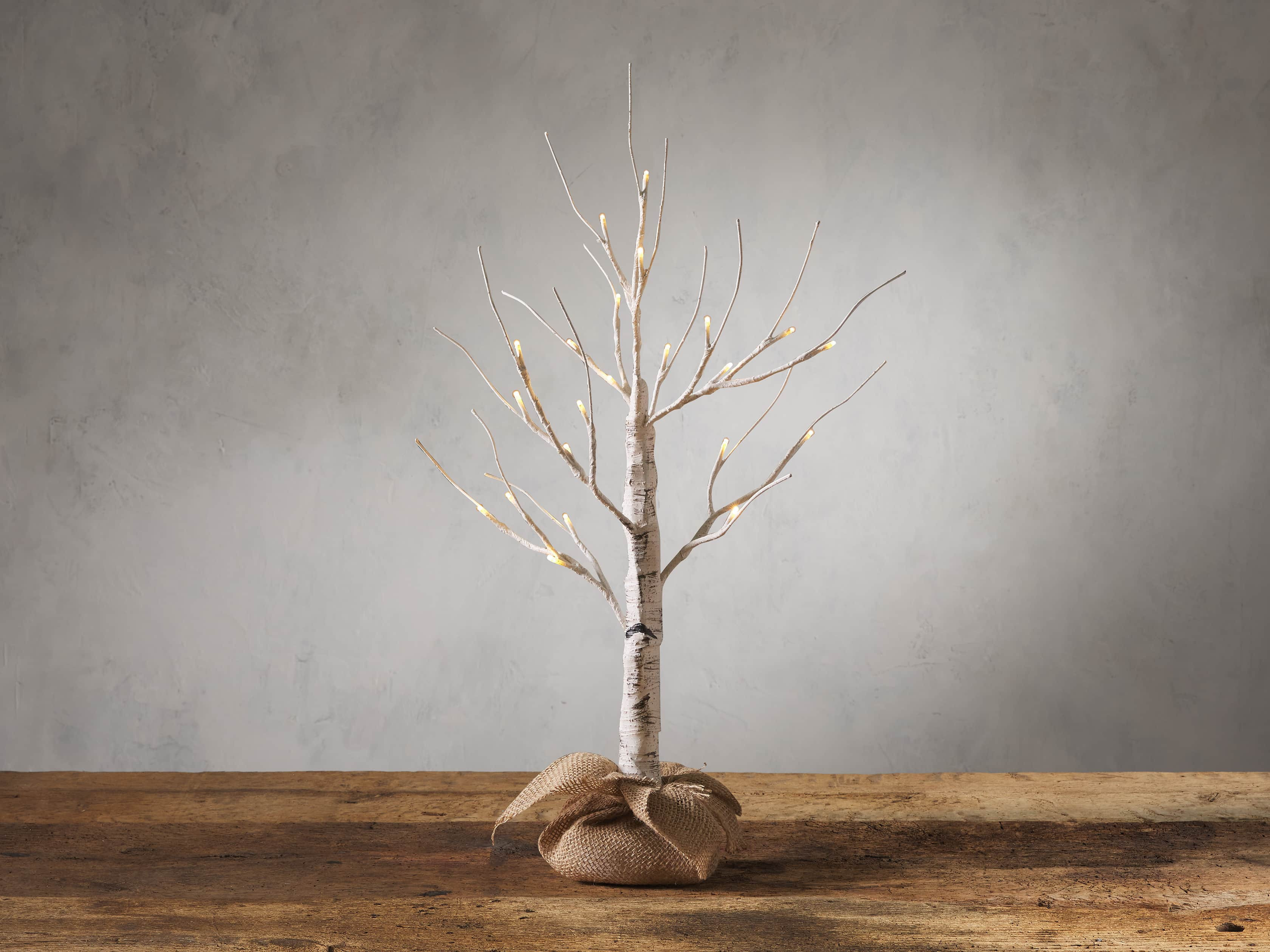 Aurora Lighted Birch Tree | Arhaus