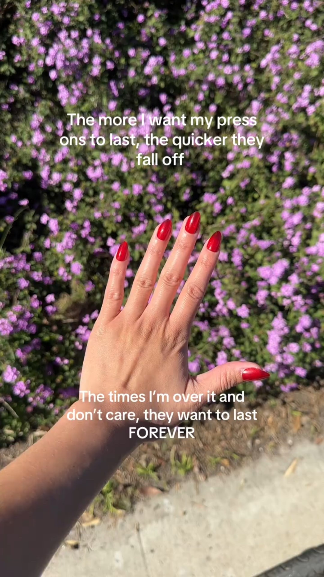 It’s giving house plant 🪴 

Olive and June you have really outdone yourselves! Will they ever come off?? 😂

#rednails #pressons #pressonnails

#LTKBeauty #LTKValentine