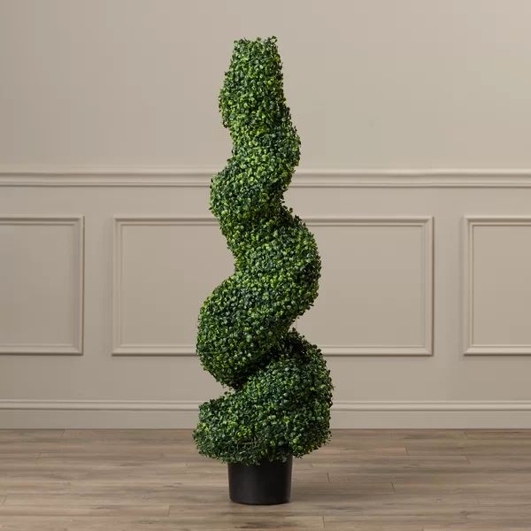 Boxwood Topiary in Pot | Wayfair North America