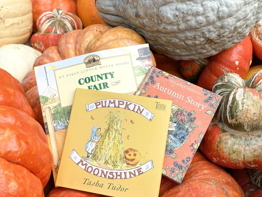 Fall books for children!  

 #LTKSeasonal #LTKSaleAlert #LTKKids