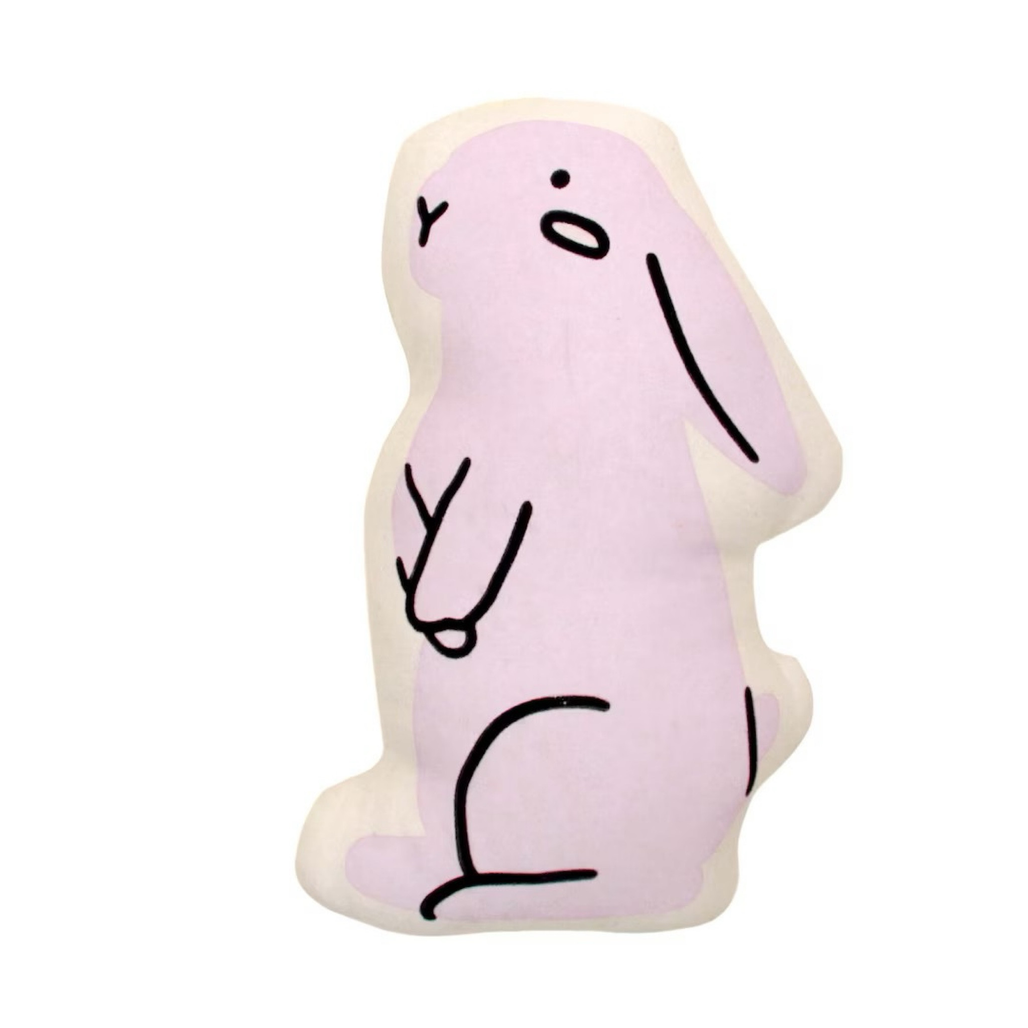 Bunny Pillow 

#easter #bunny #easterfinds 