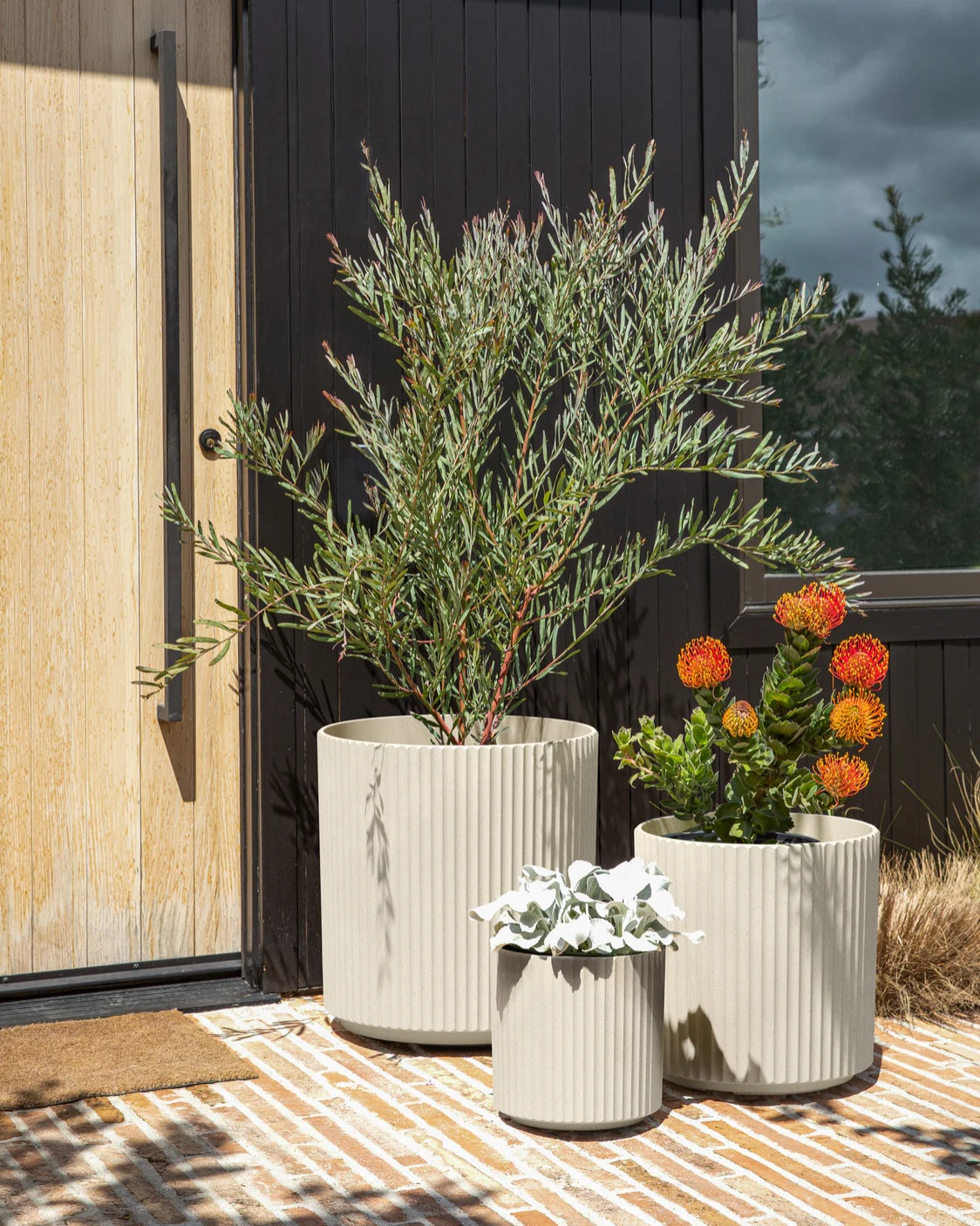 Veradek planter trio in sandstone 

#LTKhome #LTKsummer #LTKcanada