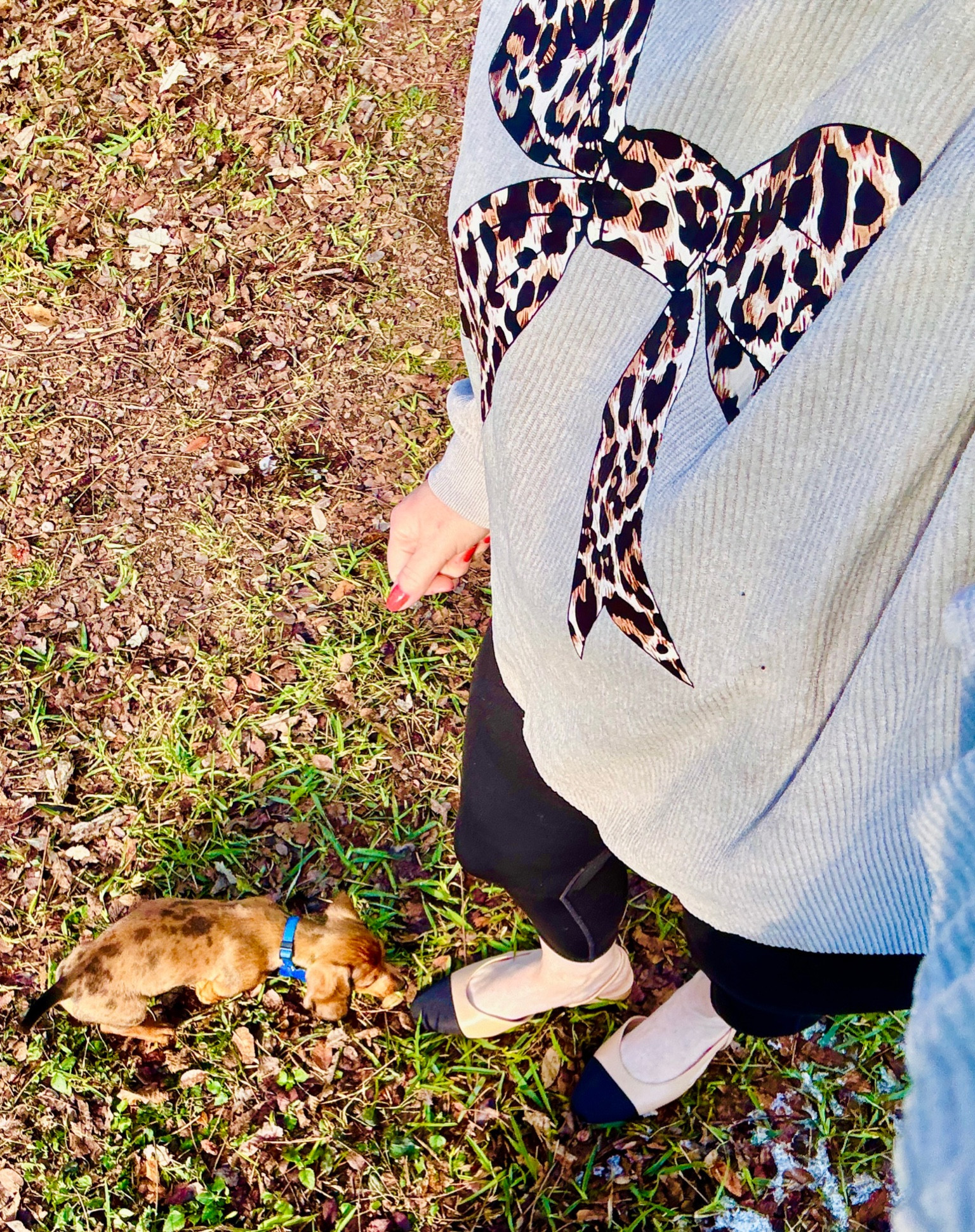 Large leopard bow pullover!! 

#LTKFindsUnder50 #LTKStyleTip #LTKSeasonal