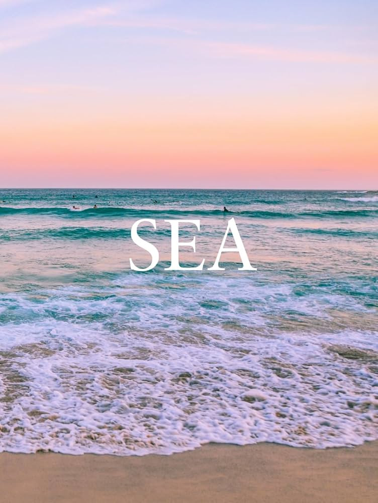 Sea: Coastal Decorative Book | Modern Beach House Accent for Coffee Tables and Shelves | Amazon (US)
