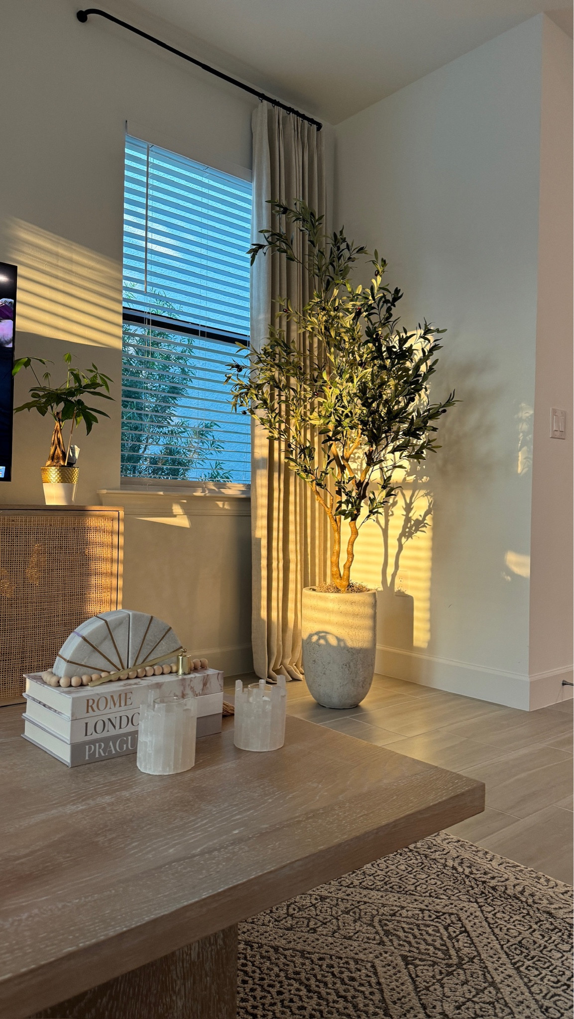 Deal of the Day! My faux olive tree is on sale! 🌿 be sure to clip the coupon!

+ Links to my Naples Living Room - these Amazon curtains are so good! Details: Pinch pleat Amazon curtain - the large window has 2 60x108 panels on it, we hung them 4 inches from the ceiling using the curtain rod linked below & 1 inch rings. 

Home decor, modern home, neutral decor, home accents, Amazon home, Amazon sale   

#LTKHome #LTKStyleTip #LTKSaleAlert