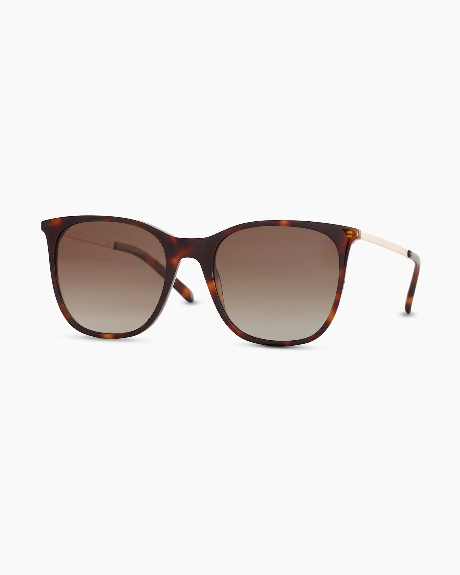 Poppy Polarized Acetate Sunglasses | Quince