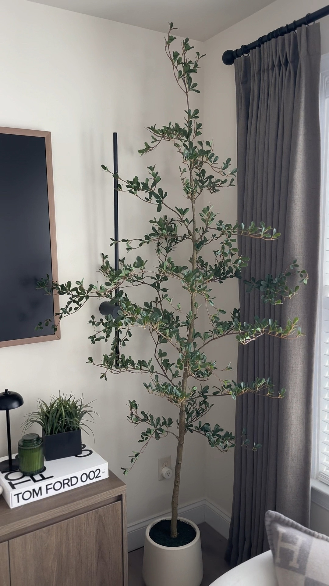Is it just me, or are we officially over the 'standard' olive tree? 🌿✨ If you’re staring at an empty corner but want something that feels architectural and intentional, the Verinatural Black Olive is the 2026 design reset you need. It’s airy, sculptural, and doesn’t feel like a carbon copy of every other home.


#LTKSaleAlert #LTKstorytime #LTKHome