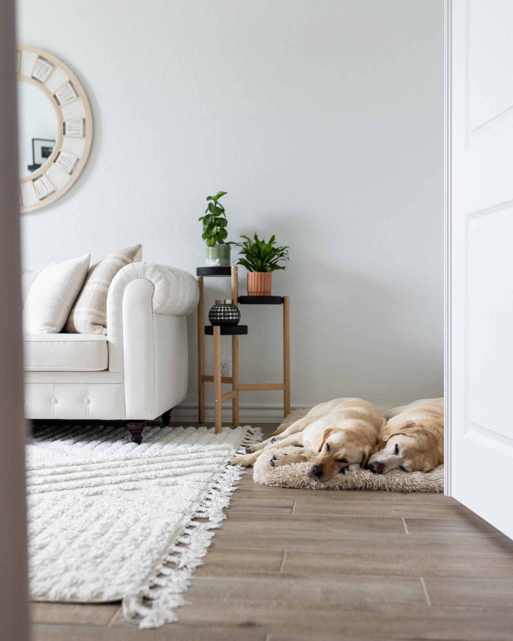 My dogs love this cozy bed! It’s soft, plush, neutral AND washable. It’s also sized to fit in a crate 🙌🏼

#LTKFindsUnder50 #LTKHome #LTKPets
