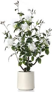 43inch Artificial Camellia Tree,A Simulated Floral Plant Blooming in a White Pot Potted Home Porc... | Amazon (US)