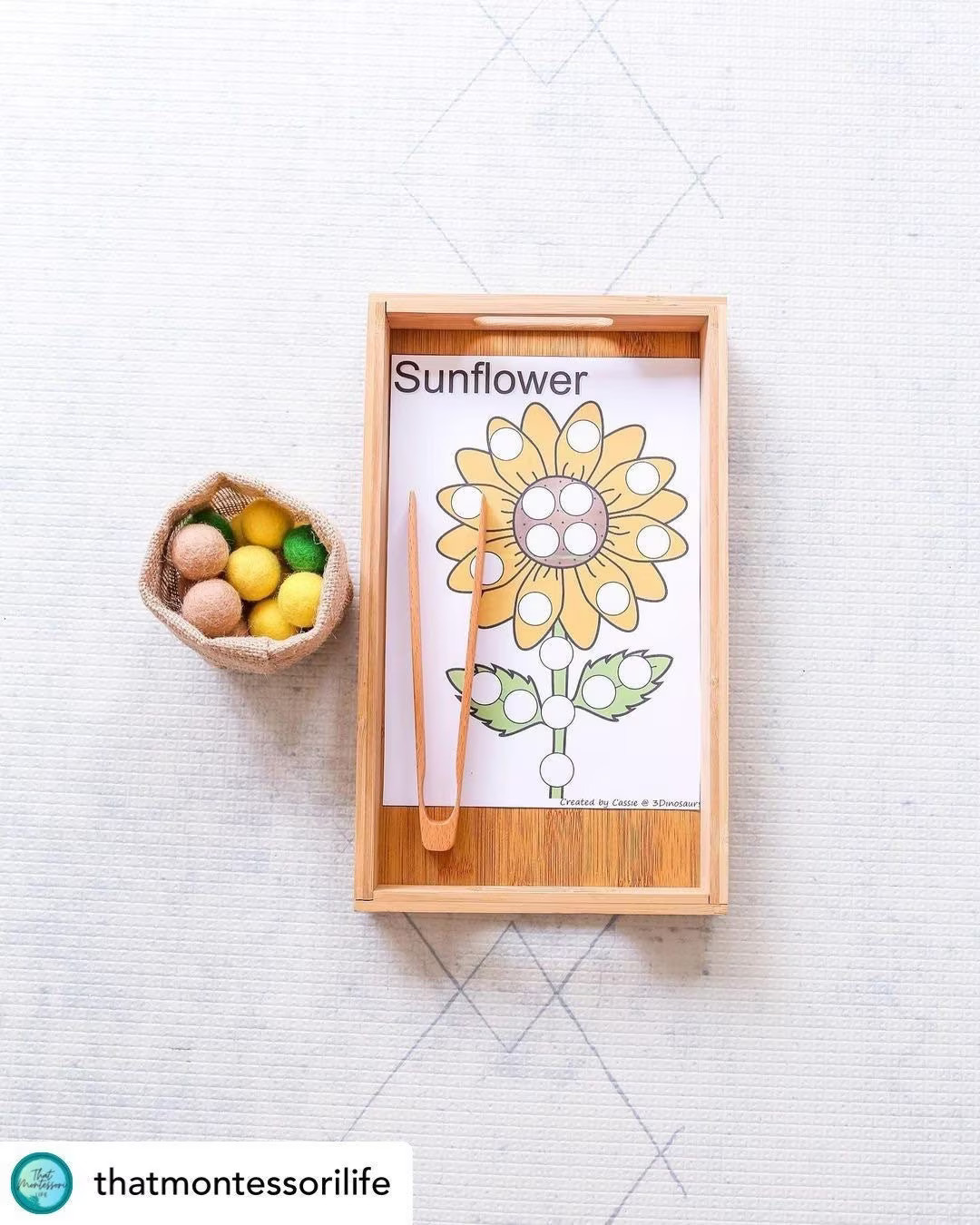 Wooden Tong Tweezer Clamp Fine Motor Montessori Waldorf Reggio Emilia Toddler Preschool Kids Tool... | Etsy (US)