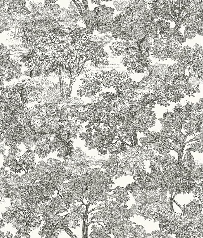 Chesapeake 3115-12542 Spinney Toile Wallpaper, Black | Amazon (US)