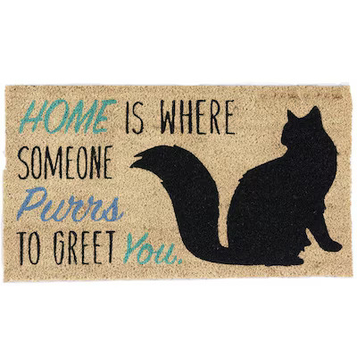 DII 2-ft x 3-ft Home Cat Coir/Vinyl Rectangular Indoor or Outdoor Decorative Home Door Mat | Lowe's