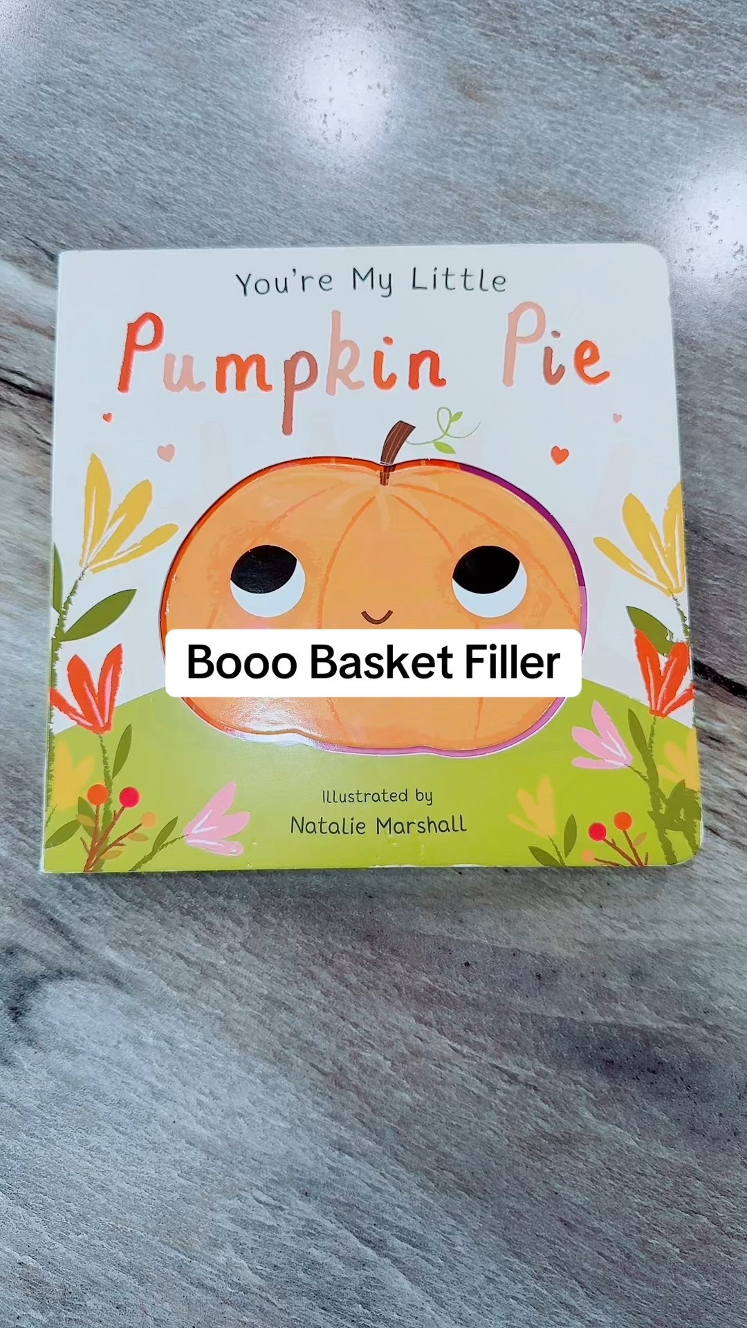 Pumpkin Poe book for the perfect booo basket filler! 

#LTKKids #LTKFamily #LTKBaby