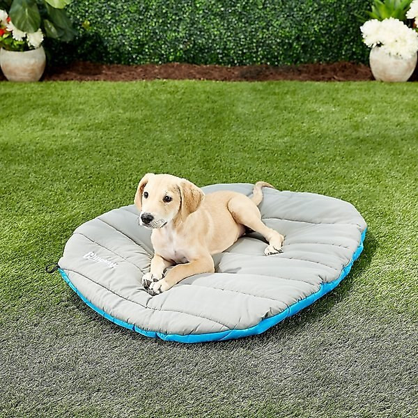 Chuckit! Travel Pillow Dog Bed | Chewy.com