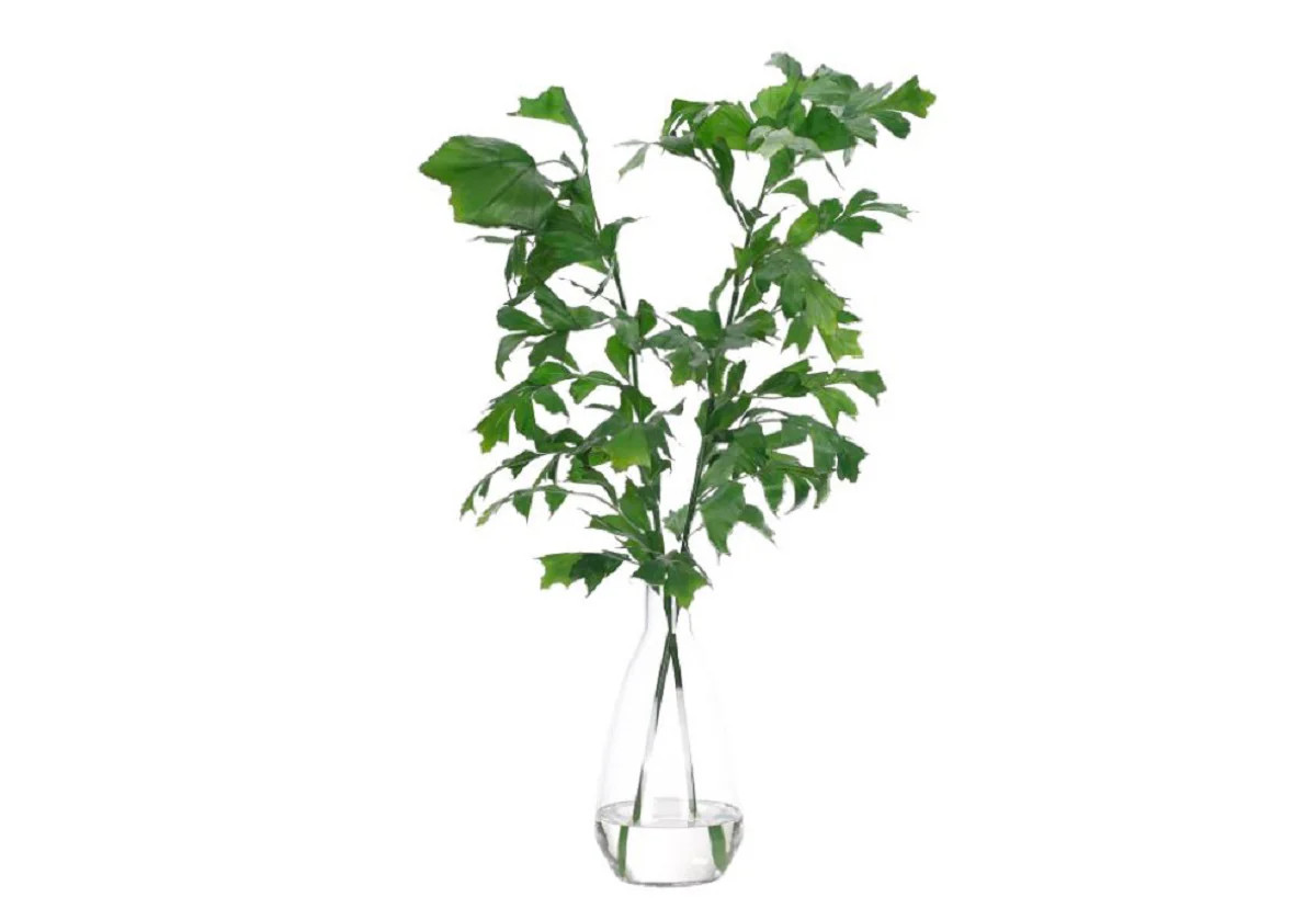 FISHTAIL PALM | Alice Lane Home Collection