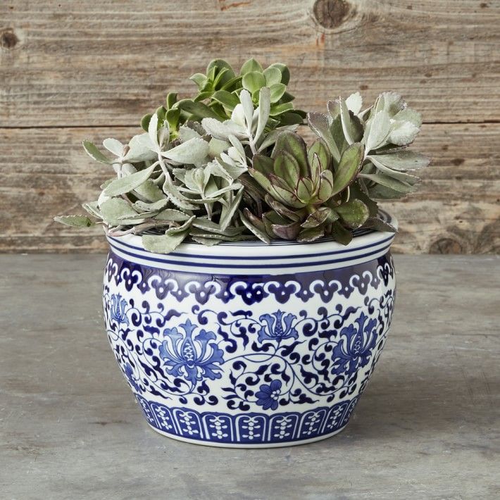 Blue & White Ceramic Planter, Small | Williams-Sonoma