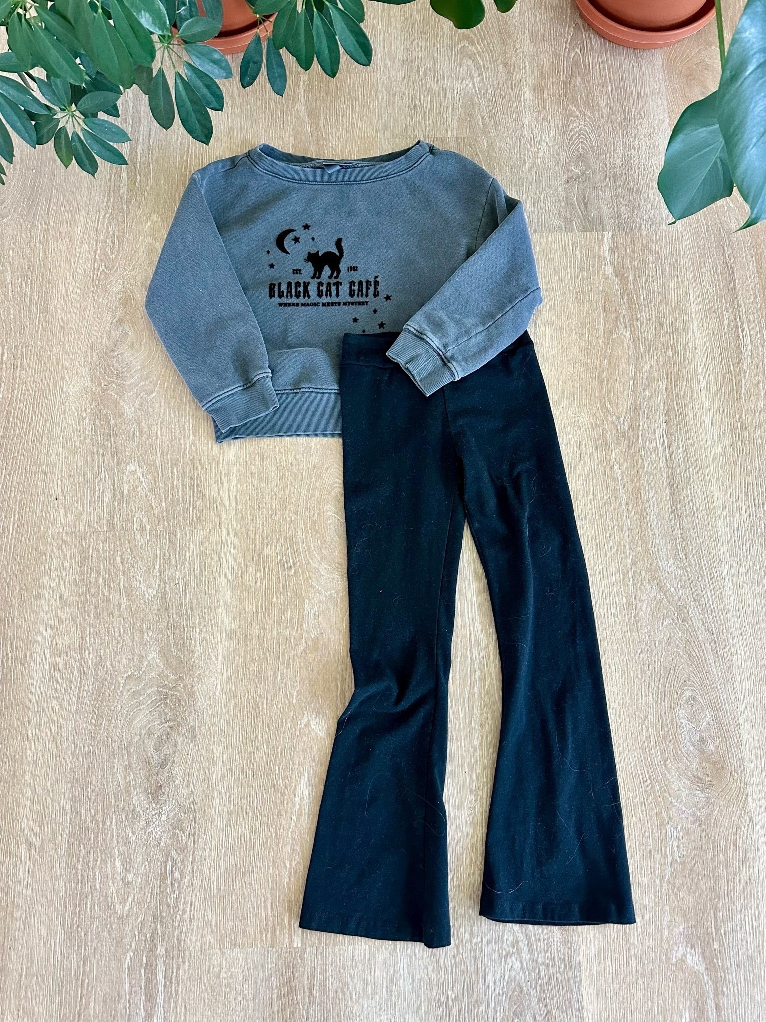 September is here, which means spooky season is officially in full swing! 🐈‍⬛✨ This charcoal gray Black Cat Café French terry sweatshirt paired with black high-rise flare leggings is the perfect Halloween outfit for girls who love cozy, comfy fall fashion. From pumpkin patch adventures and apple orchard visits to classroom parties, trick-or-treating, and crisp autumn mornings, this outfit is festive, stylish, and made for making fall memories.
Everything is linked in my LTK for easy shopping!

#LTKKids #LTKSeasonal #LTKMomLife #HalloweenOutfit #BlackCatCafe #FallKidsStyle #GirlsFashion #HalloweenKidsFashion

girls Halloween outfit, Black Cat Café sweatshirt, charcoal gray sweatshirt, French terry sweatshirt, girls flare leggings, black flare leggings, Halloween sweatshirt for girls, fall girls fashion, kids Halloween clothes, pumpkin patch outfit, apple orchard outfit, trick or treat outfit, classroom Halloween party outfit, spooky season outfit, cozy fall outfit, affordable girls clothing, Target Halloween clothing, Halloween fashion, girls fall outfit, cute Halloween clothes, fall family photos, September outfits, autumn style

#LTKmomlife #LTKKids #LTKSeasonal