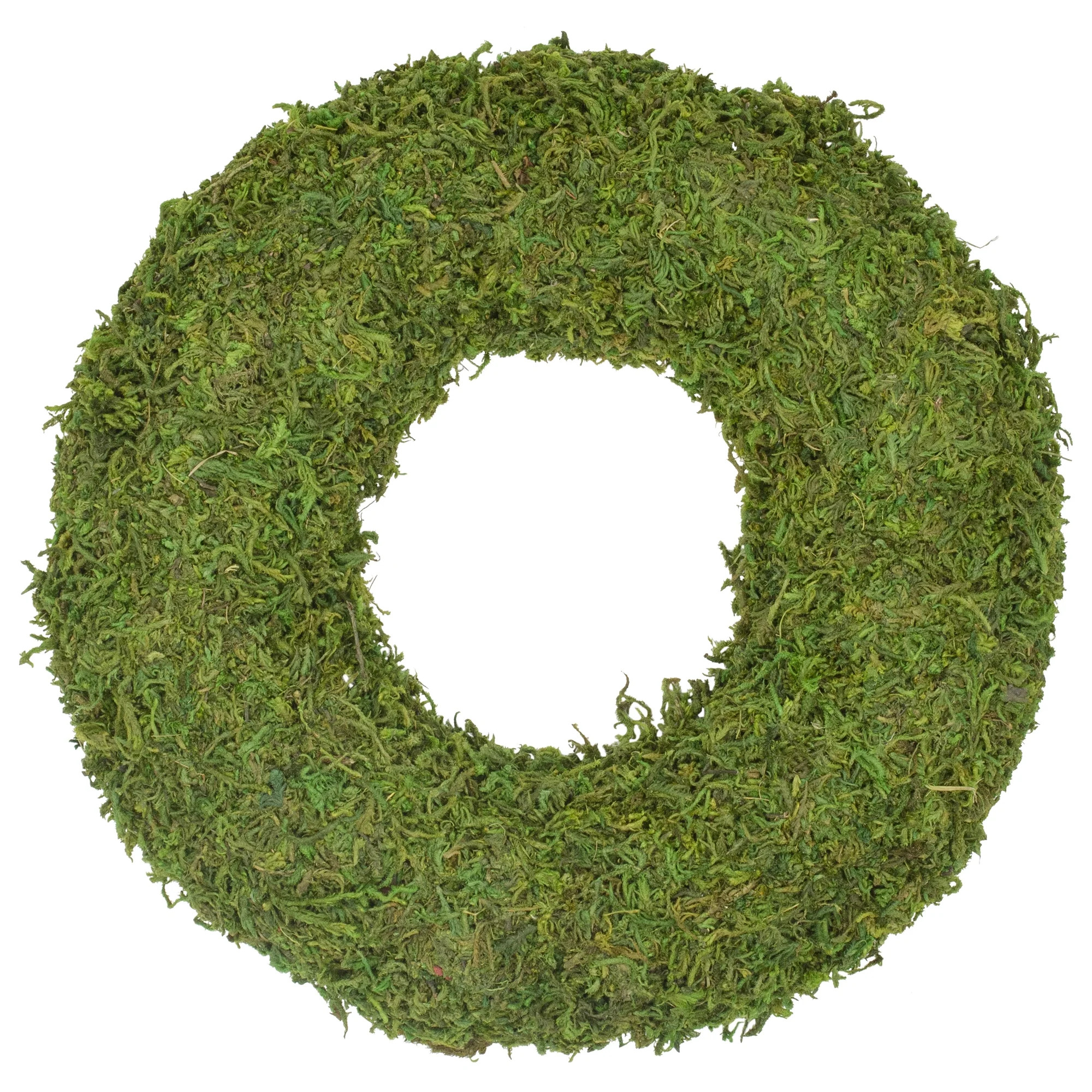 13.7" Reindeer Moss Artificial Floral Spring Wreath - Unlit | Walmart (US)