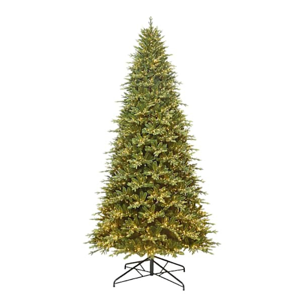 Pre-Lit Bradley Spruce Tree, 12', Green, Plastic, sold by At Home | At Home