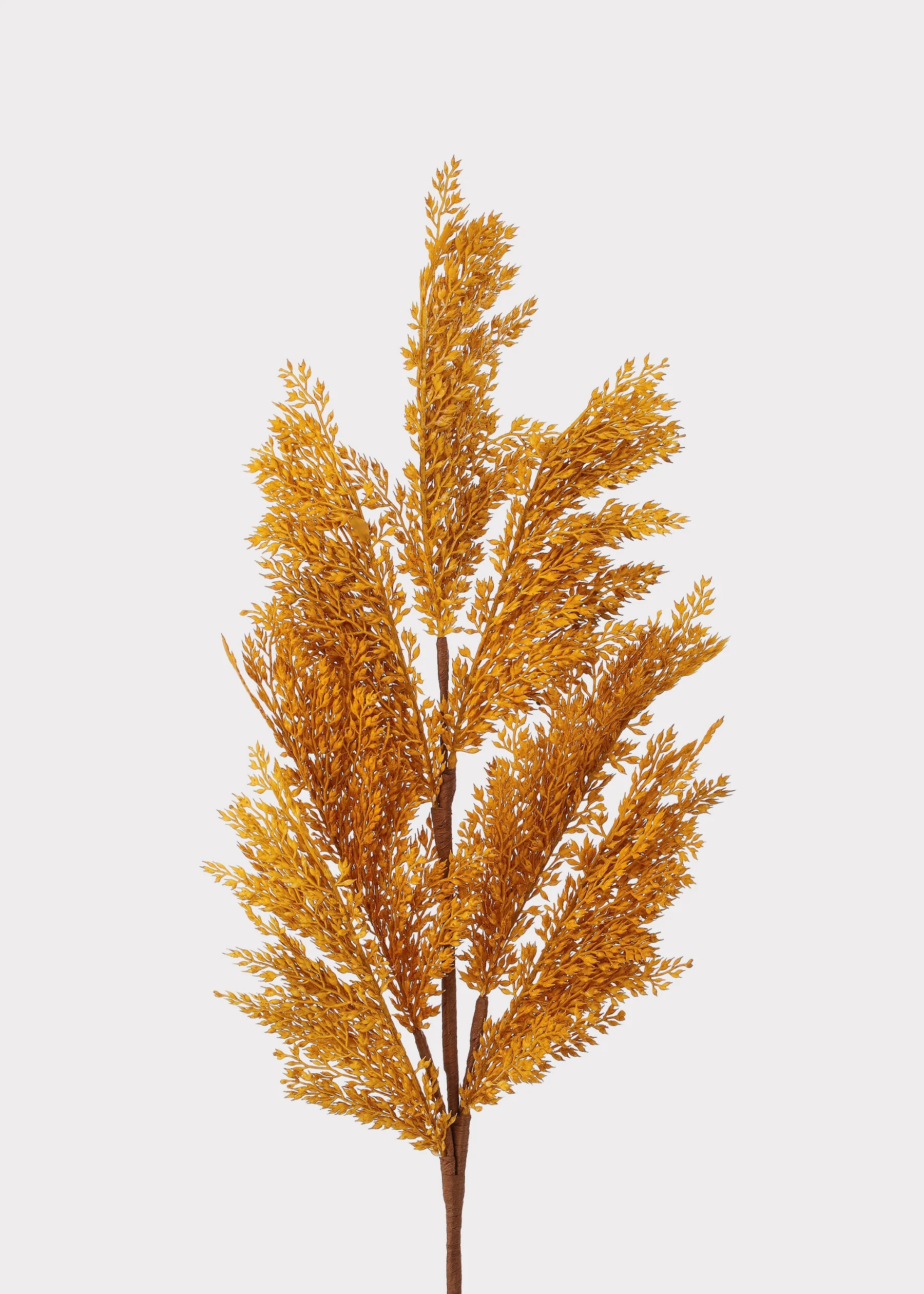 Broom Corn Grass in Yellow Gold | Artificial Autumn Grasses at Afloral | Afloral