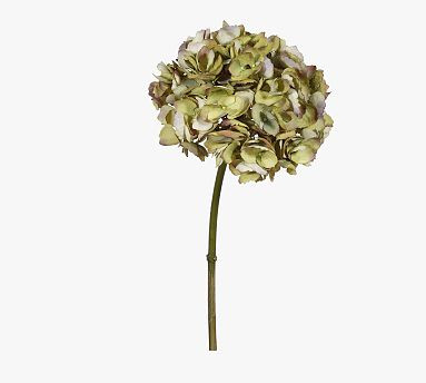 Faux Hydrangea Half Dozen Short Stems | Pottery Barn (US)