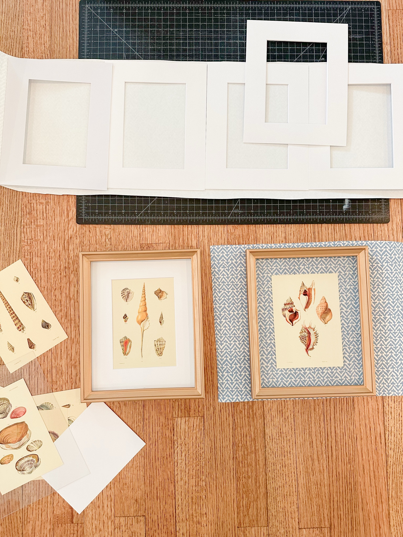 Framing ideas framed shells wallpaper mat 