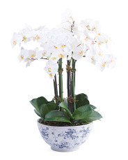 21in Orchid Phalaenopsis In Ceramic Pot | TJ Maxx