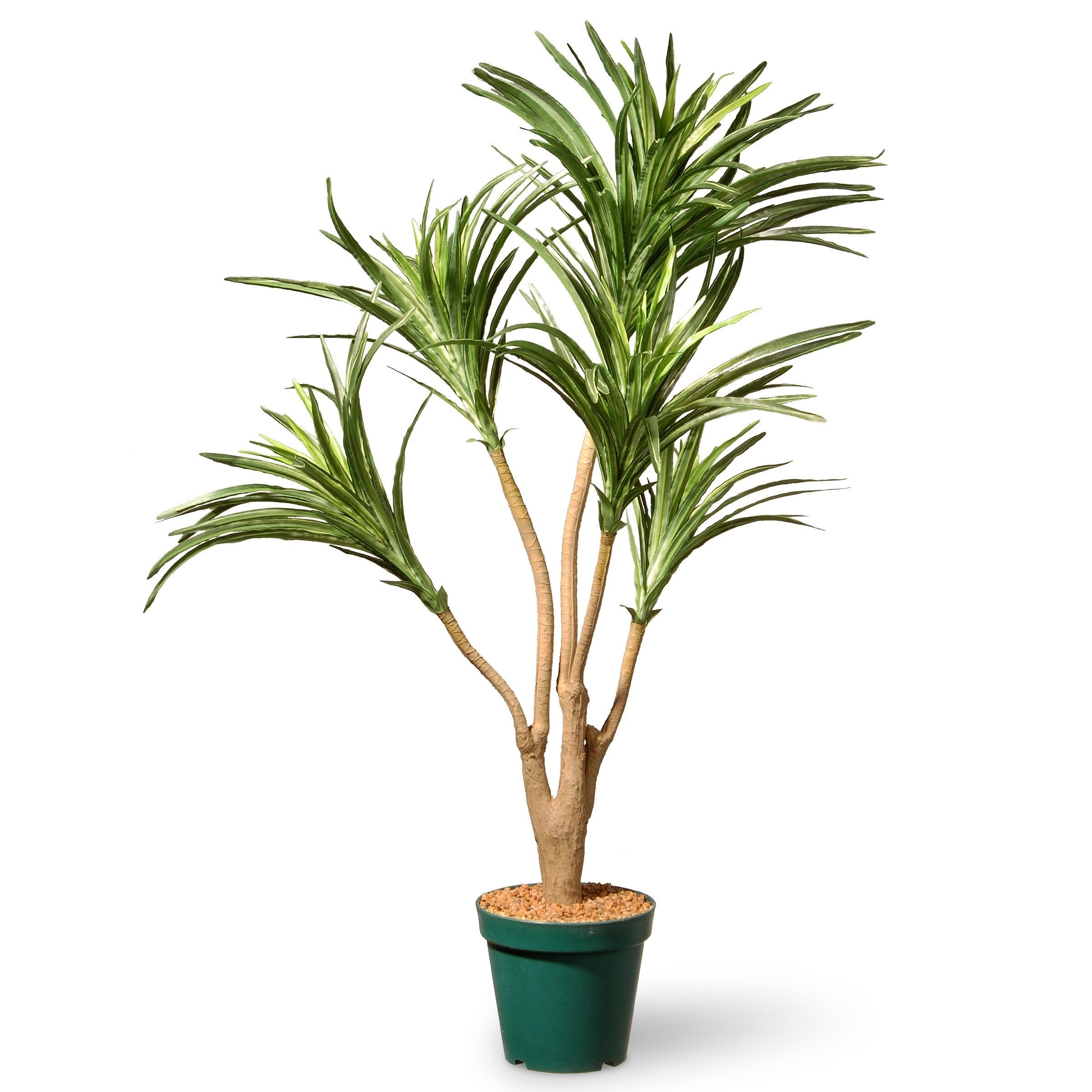 National Tree Artificial 3 Ft. Potted Dracaena Plant | Walmart (US)