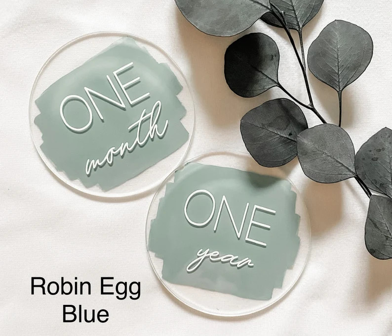 Acrylic Monthly Milestones Marker,Baby Monthly Milestones, 12 Month Set,Birth Announcement,Newbor... | Etsy (US)